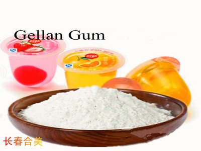 GELLAN GUM