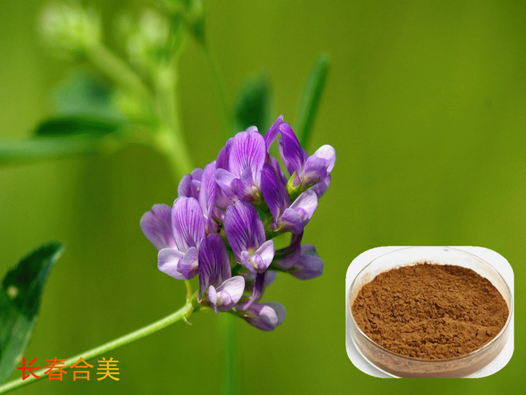 ALFALFA LEAVES POWDER