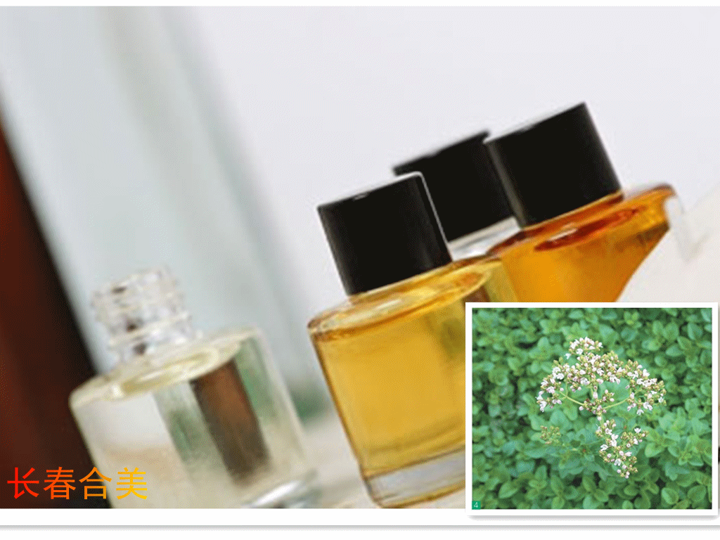 OREGANO OIL