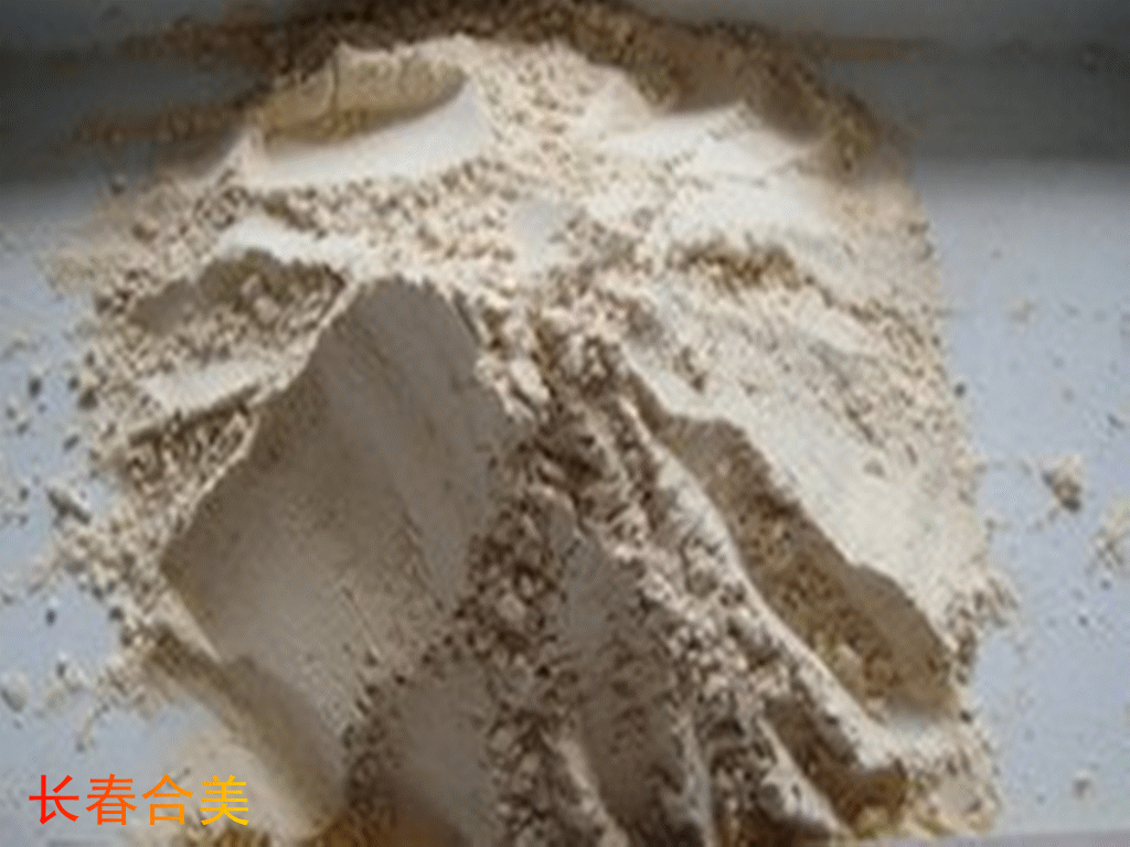 RICE PROTEIN