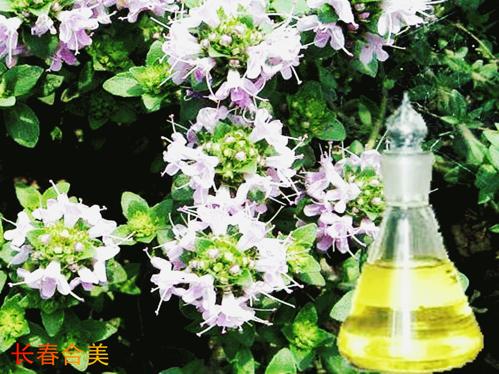 THYME OIL