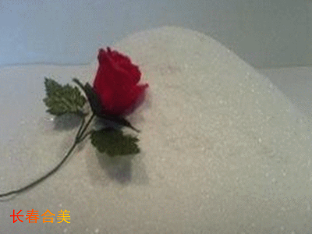 DL- CYSTEINE HYDROCHLORIDE MONOHYDRATE