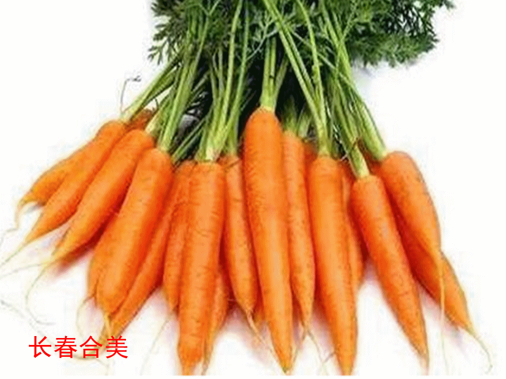 Beta 胡萝卜素98.%_