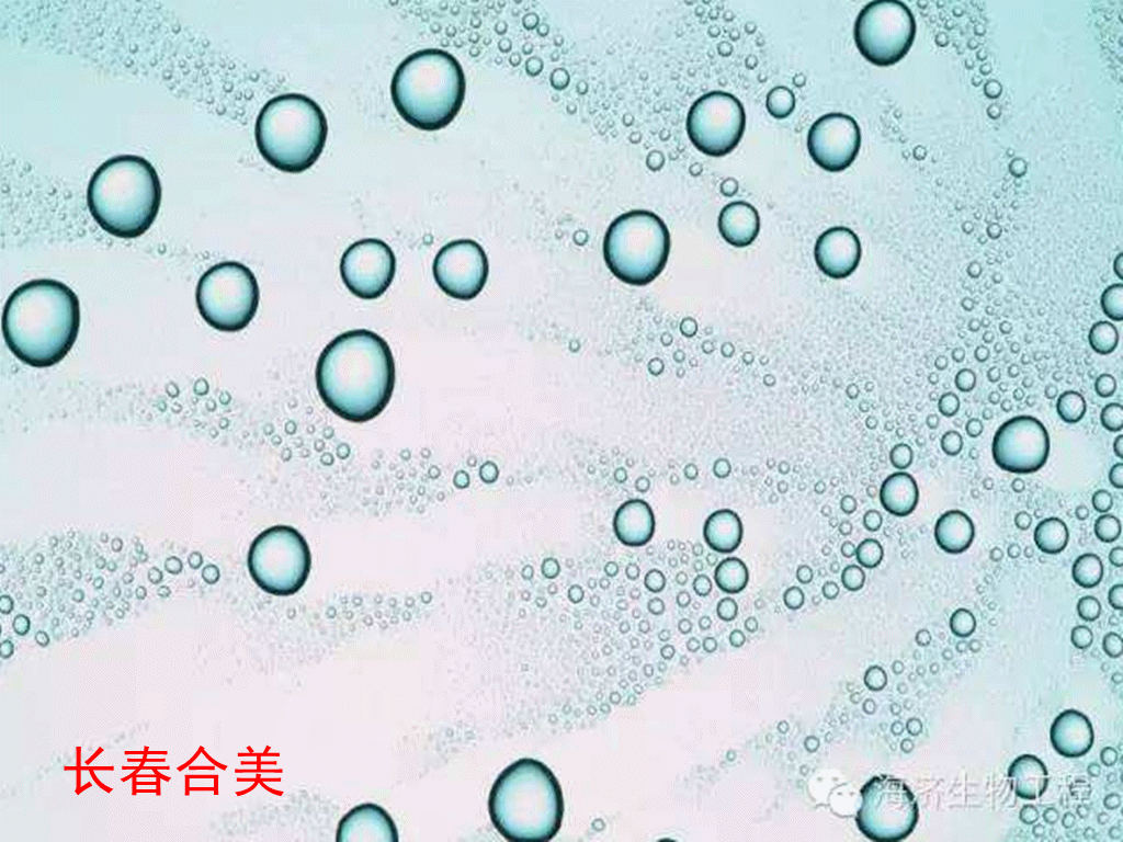 透明质酸钠_副本