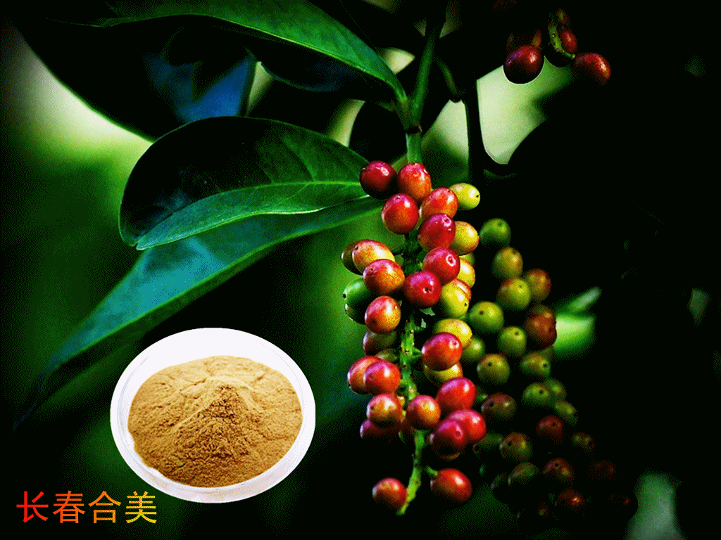 SCHISANDRA EXTRACT