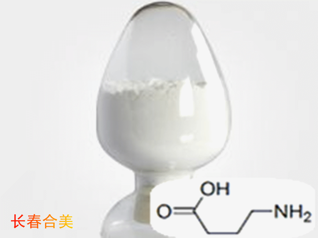 GAMMA AMINOBUTYRIC ACID（GABA） 
