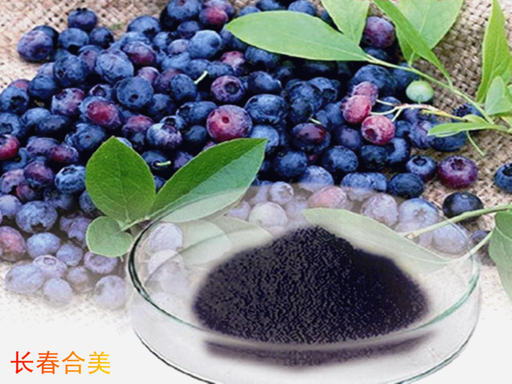 BILBERRY　EXTRACT