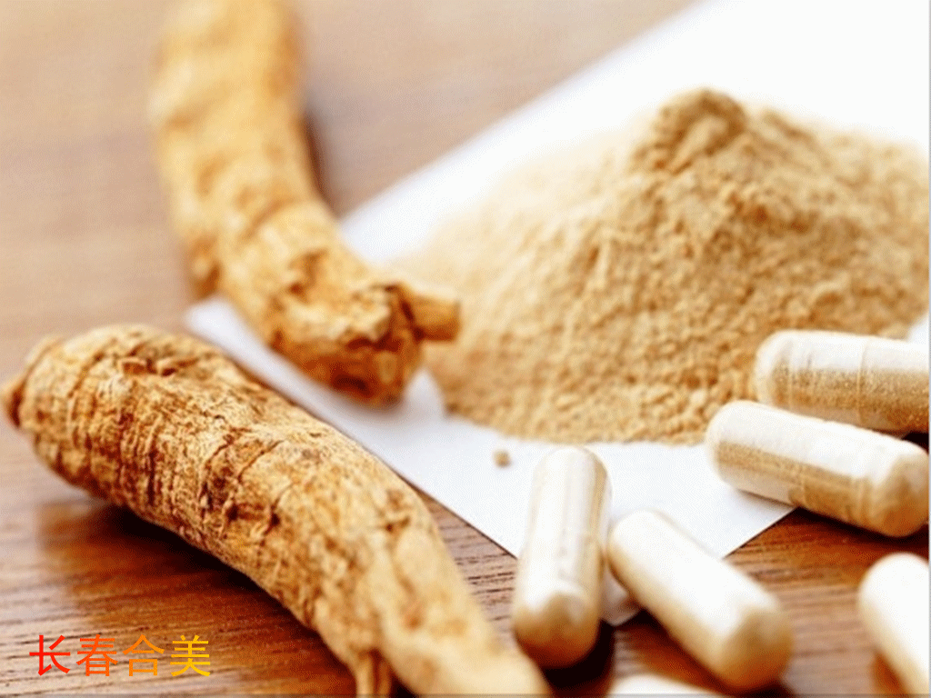GINSENG EXTRACT