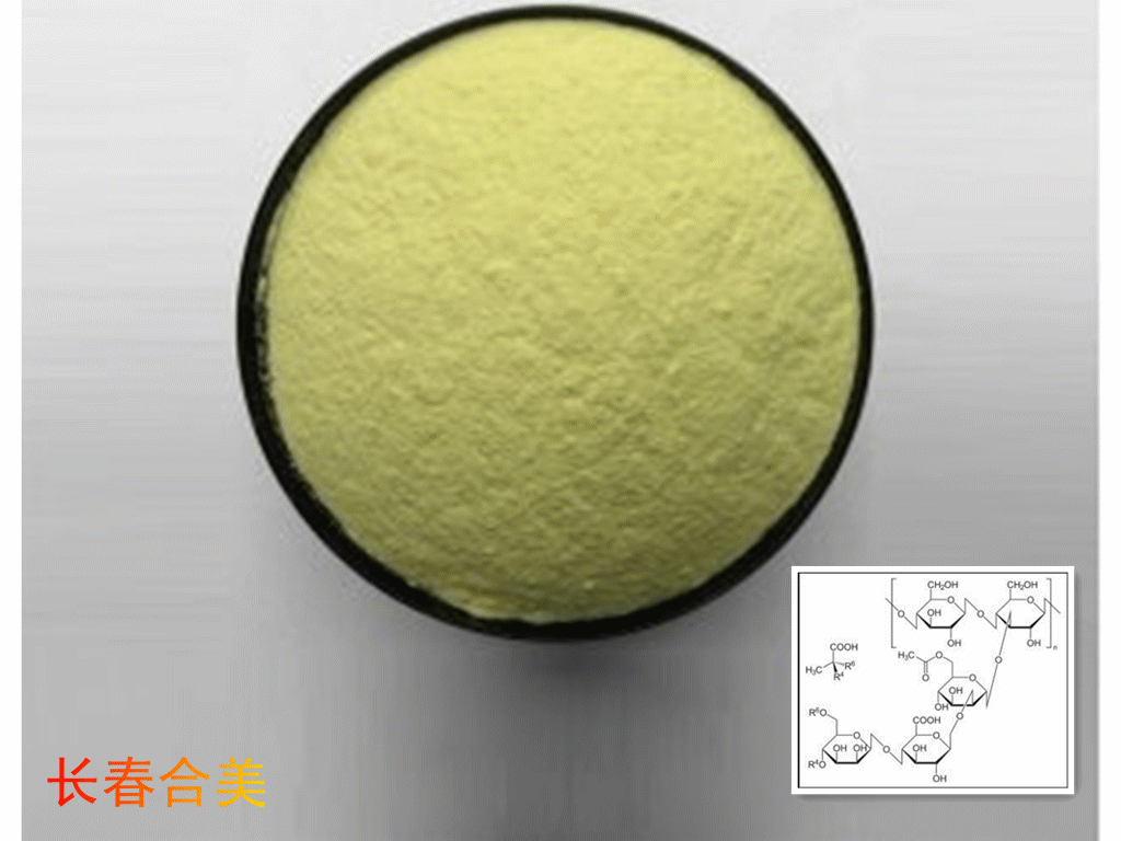 XANTHAN GUM