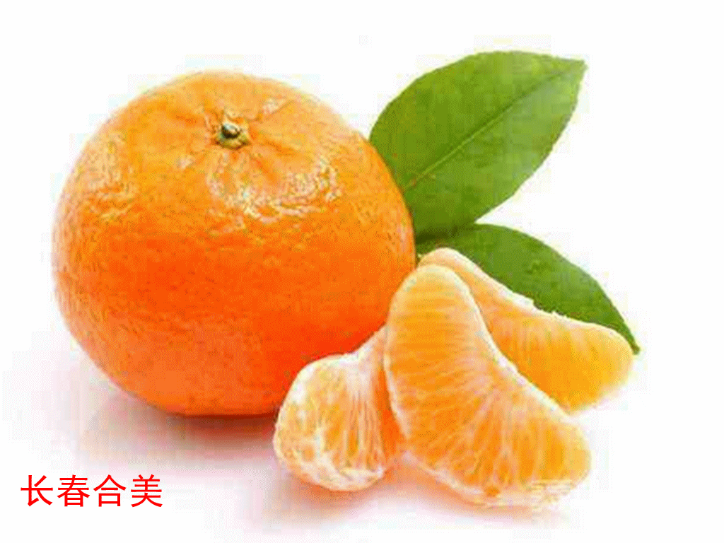 柑橘果胶